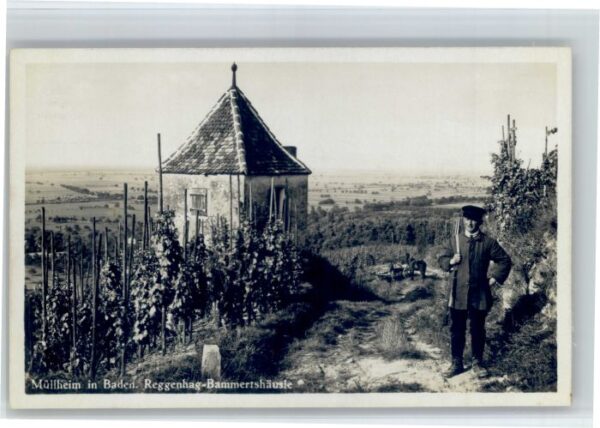 Muellheim Baden Muellheim Reggenhag Bammertshaeusle *