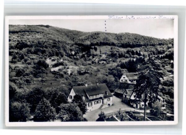Sehringen Gasthaus Zum gruenen Baum