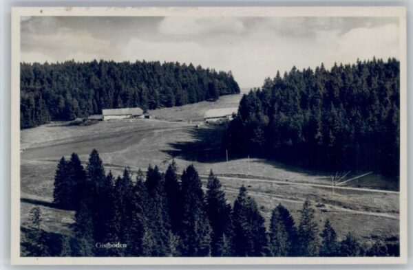 Schoenau Schwarzwald asthaus Gisiboden