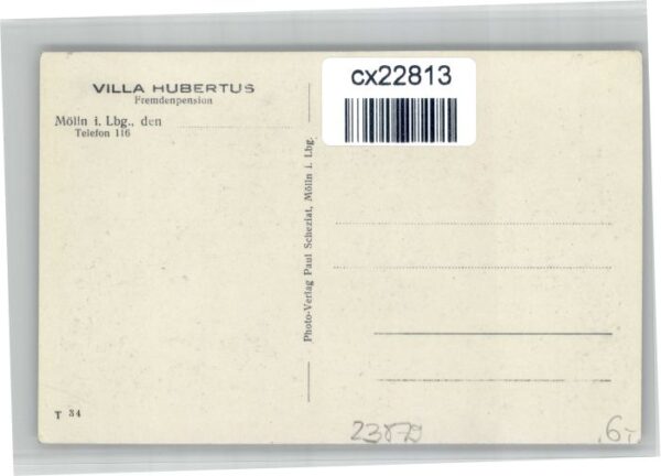 Moelln illa Hubertus – Bild 2