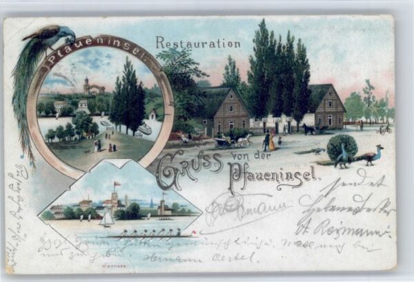 Potsdam [Stempelabschlag] Pfaueninsel