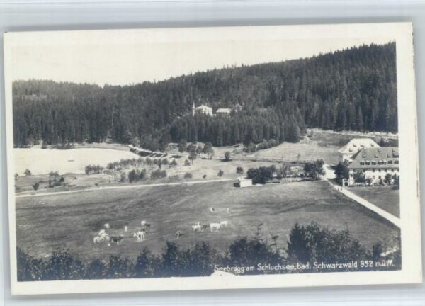 Seebrugg