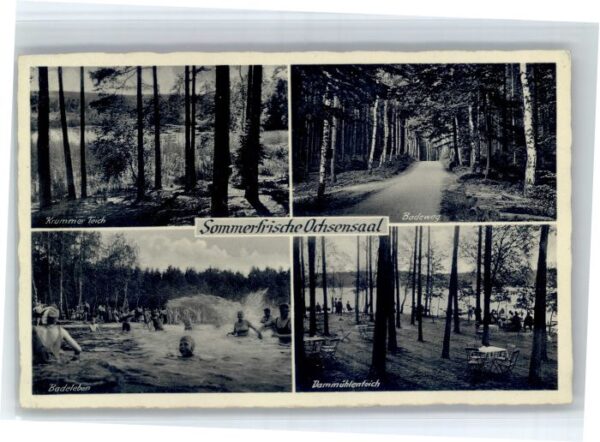 Ochsensaal Krummerteich Dammuehlenteich