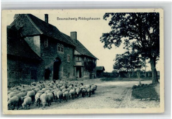 Riddagshausen