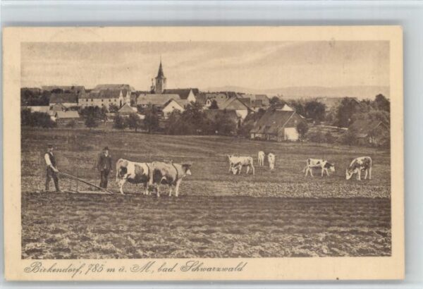 Birkendorf Kuehe