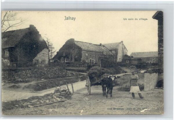 Jalhay Zugochse