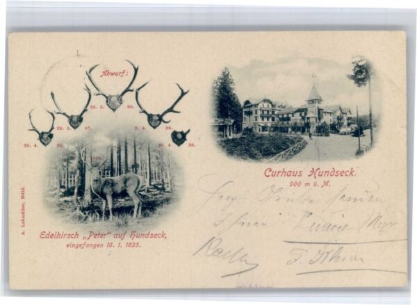 Hundseck Kurhaus Hundseck Edelhirsch Peter