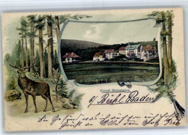 Herrenwies Hirsch