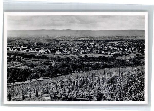 Haltingen
