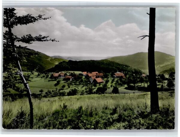 Tegernau