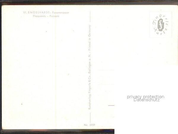 Kuenstlerkarte W. Engelhardt Fasanenpaar Nr. 5959 – Bild 2