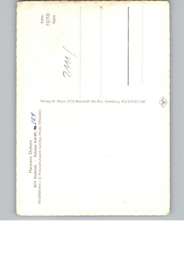 Undeloh – Bild 2