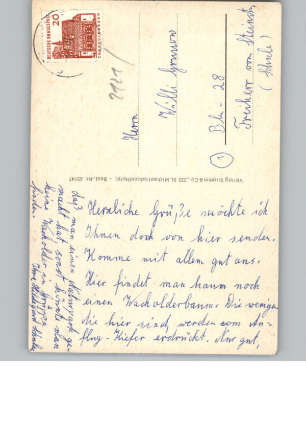 Soderstorf – Bild 2