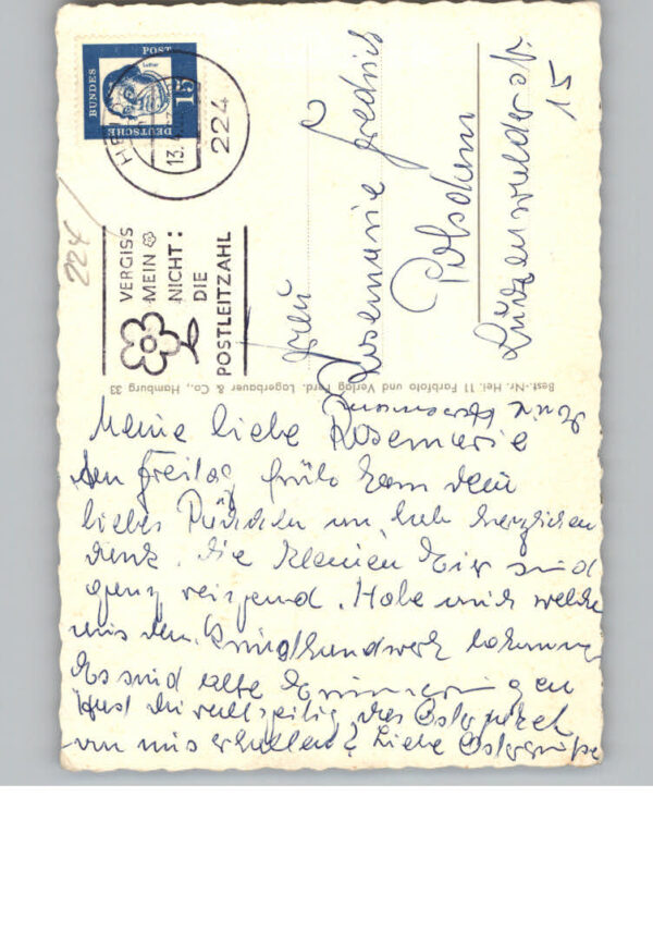 Heide Holstein – Bild 2