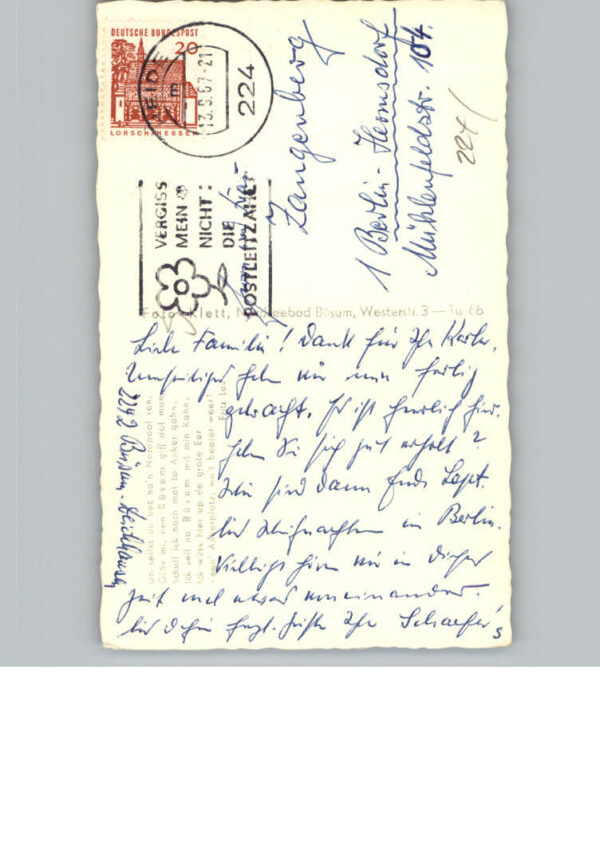 Heide Holstein – Bild 2