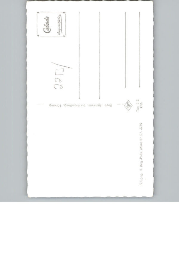 Toenning Fliegeraufnahme – Bild 2