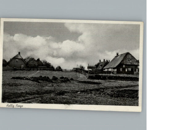 Hooge Hallig