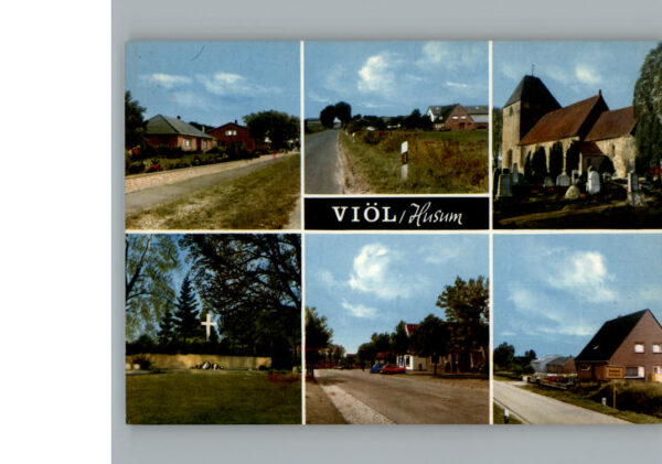Vioel