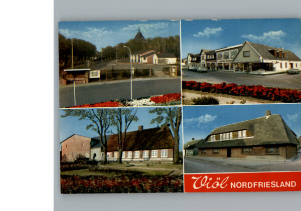 Vioel
