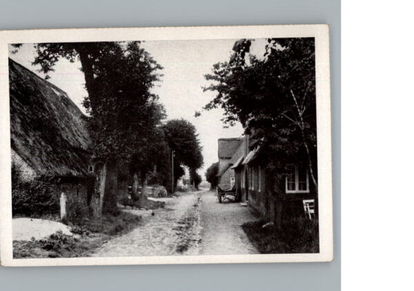 Wyk Foehr