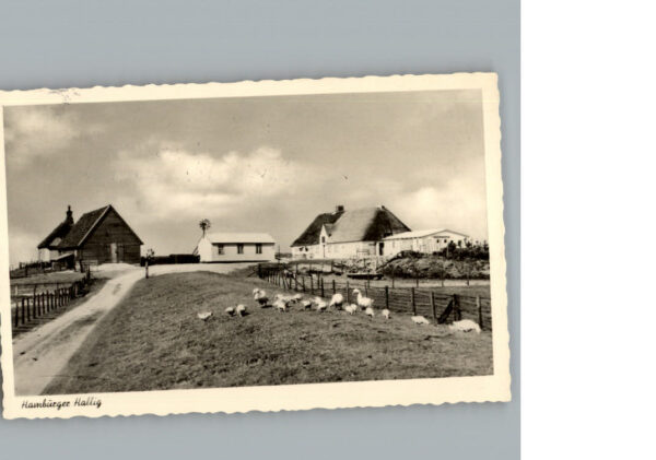 Reussenkoege Hamburger Hallig