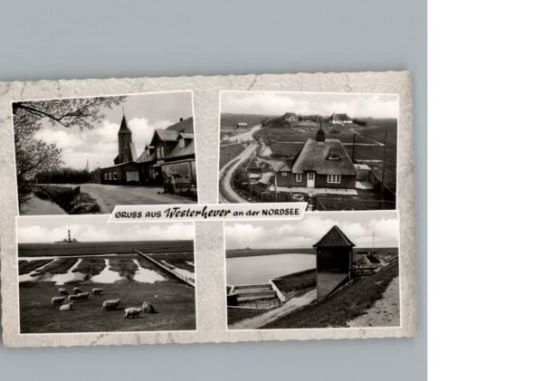 Westerhever