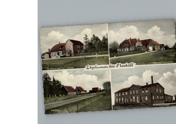 Niebuell Kaufhaus Petersen Gasthaus Friesenheim