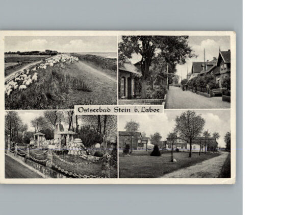 Stein Laboe