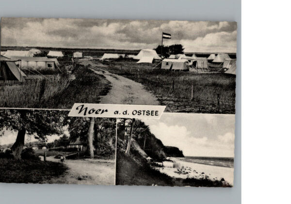 Noer