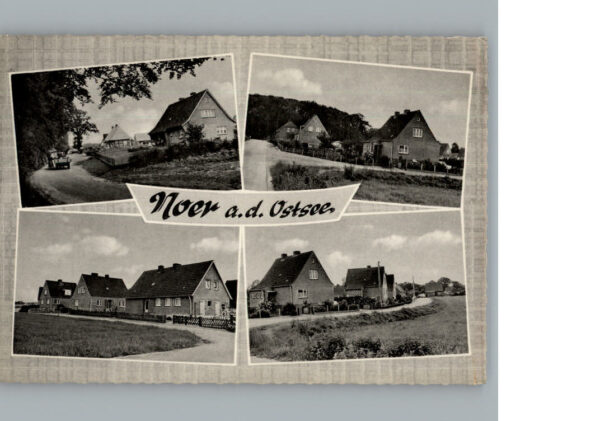 Noer