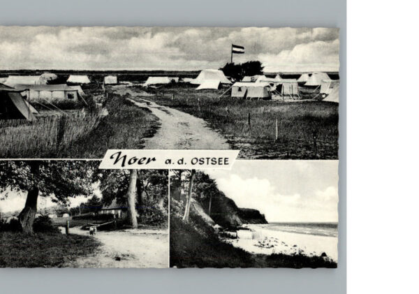 Noer