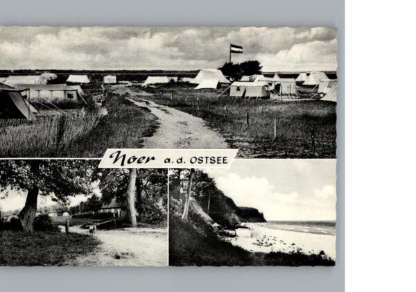 Noer