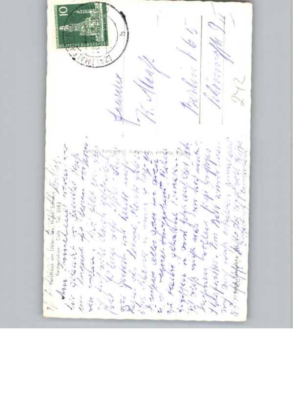 Uklei – Bild 2