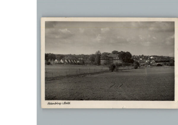 Oldenburg Holstein
