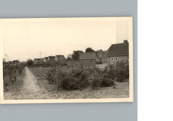 Oldenburg Holstein