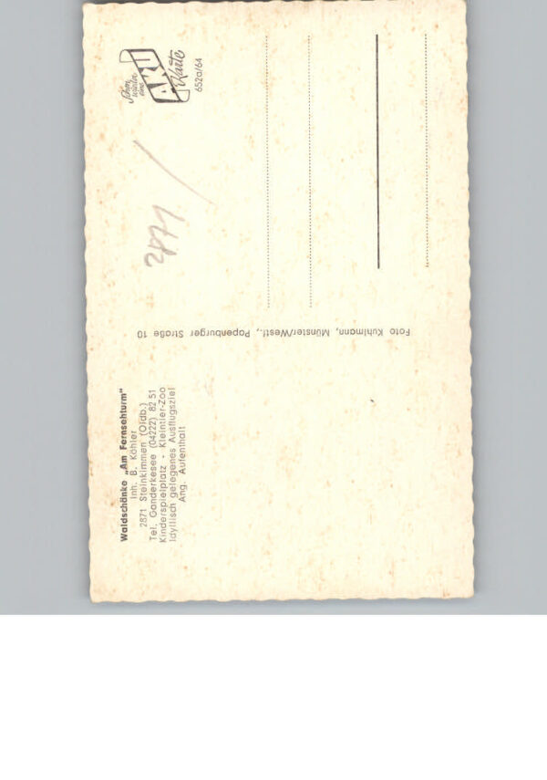 Steinkimmen – Bild 2