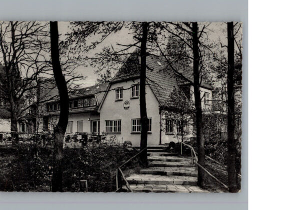 Steinkimmen