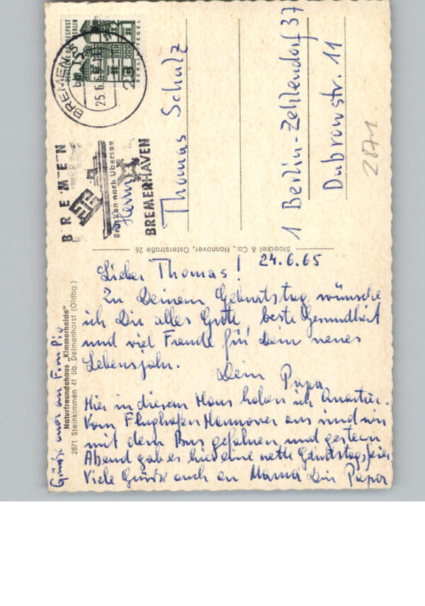 Steinkimmen – Bild 2