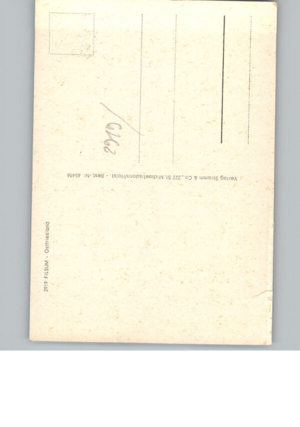 Filsum – Bild 2