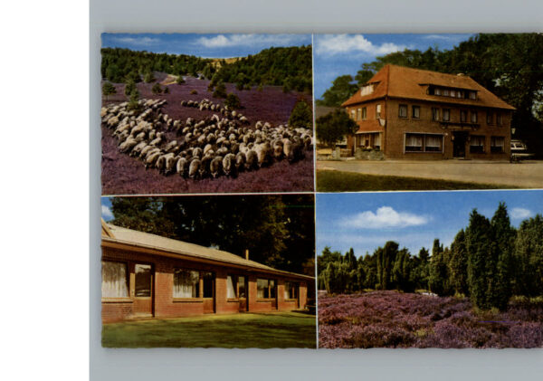 Volkwardingen Gasthof Luedtke