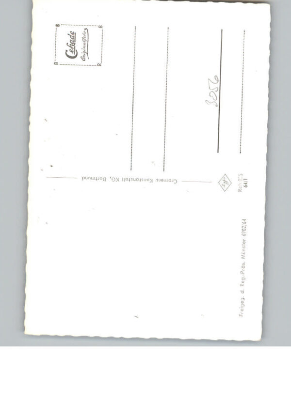 Rehburg-Loccum Luftaufnahme – Bild 2
