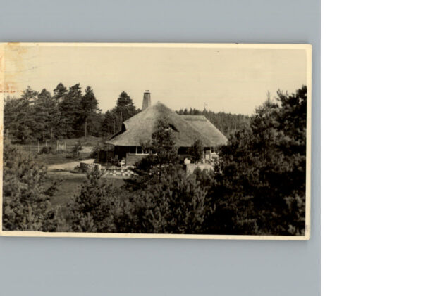 Gifhorn