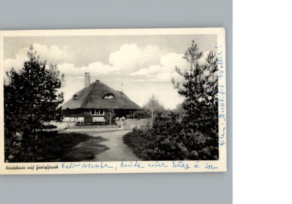 Winkel Gifhorn