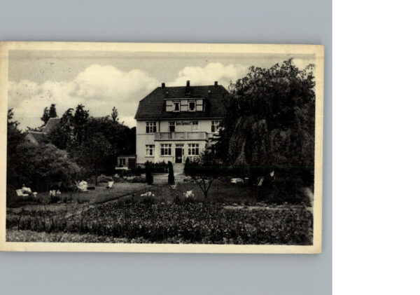 Steinbergen
