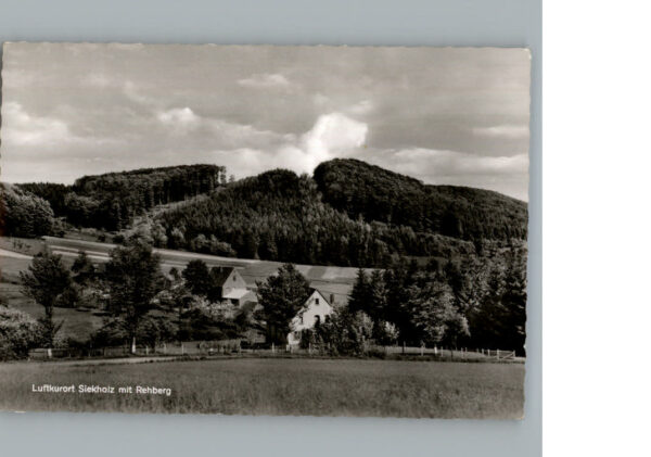 Siekholz