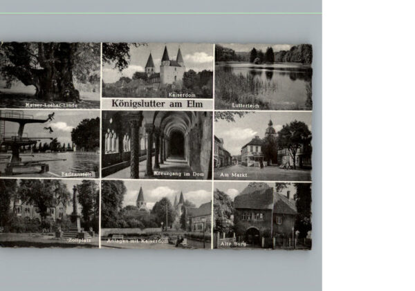 Koenigslutter Elm