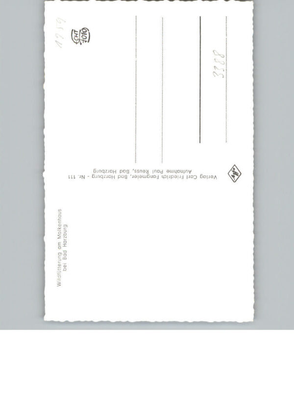 Bad Harzburg – Bild 2