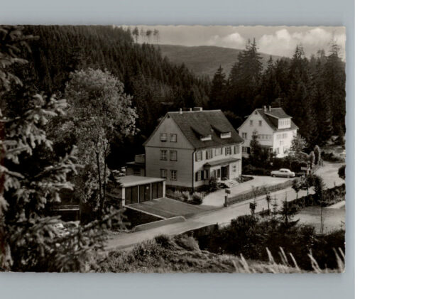 Wildemann Hotel - Pension - Cafe Spiegeltaler Eck