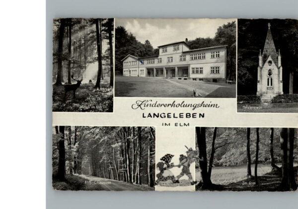 Langeleben Elm