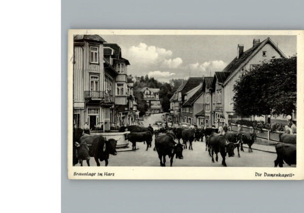 Braunlage